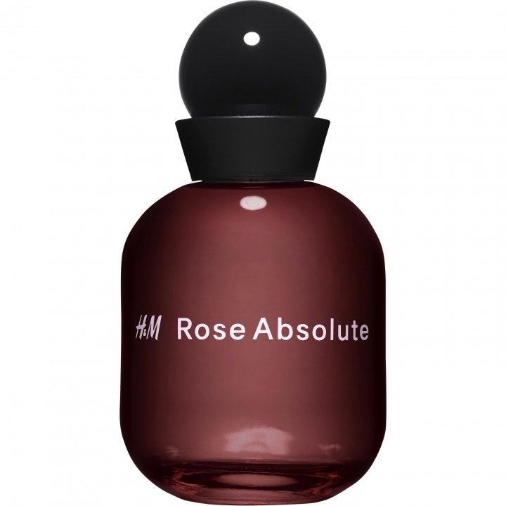 Rose Absolute
